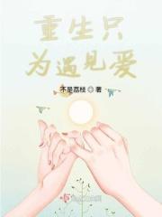 重生只为爱你免费阅读