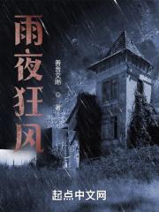 狂风暴雨夜里