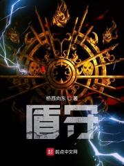 圣盾和银盾