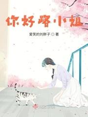 你好小姐姐全集