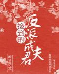捡到的反派成夫君无错版