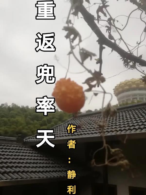 重返兜率天在线阅读