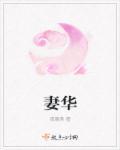 妻华讲什么