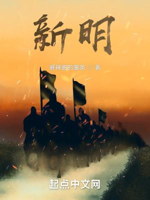 新明珠集团股份有限公司