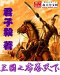 三国打了多少年