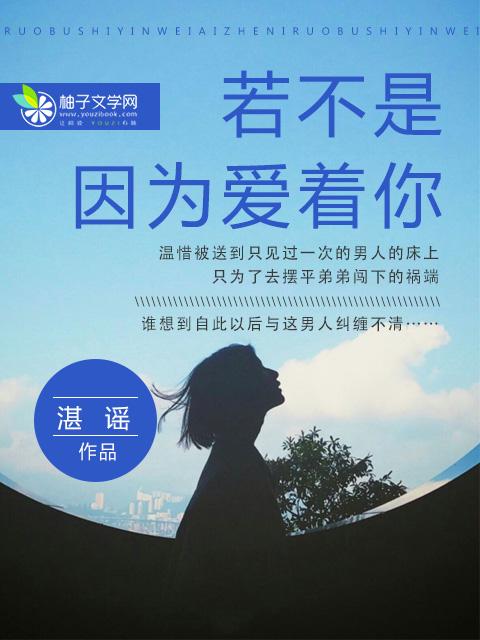北境战神陈宁短剧完整版观看