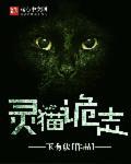 灵猫传百科