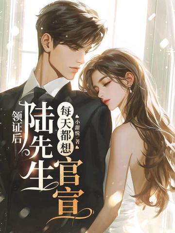 结婚后陆先生天天缠着我
