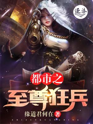都市之至尊狂兵全集