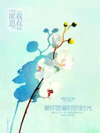 爱你是最好的时光 电视剧