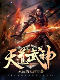 天道武神计划