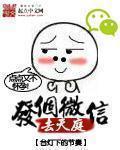 发个微信去天庭txt奇书网