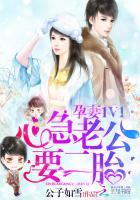 孕妻1v1心急老公二胎txt