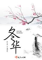 霜华的寓意和象征