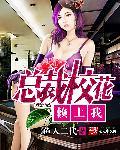 总裁校花赖上我t×t